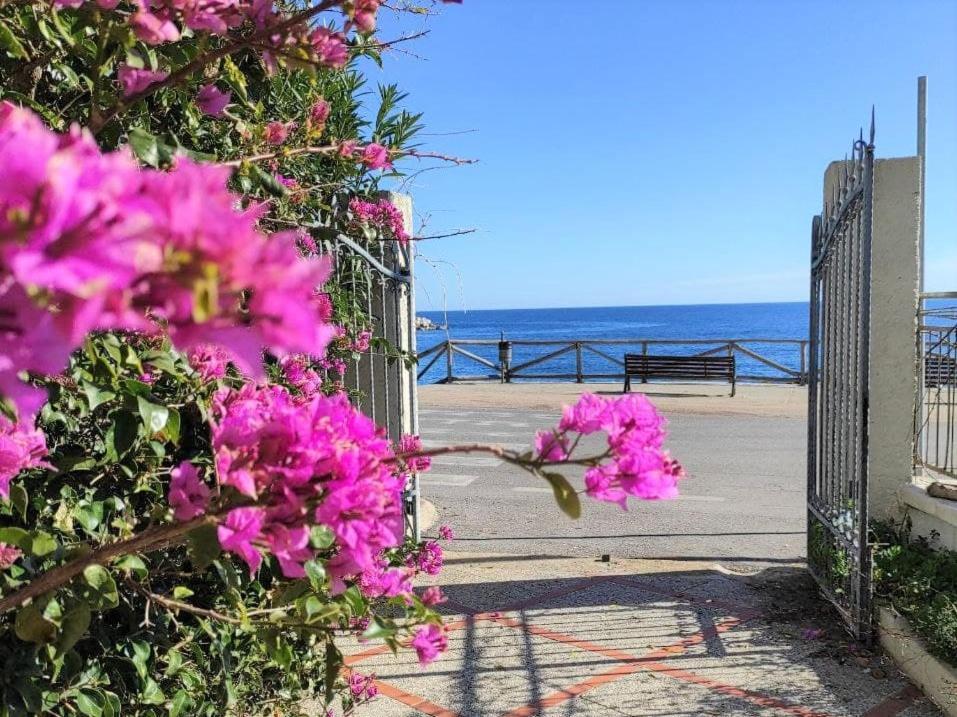 Terrazza Lungomare, E Sei In Spiaggia... กาลาโกโนเน ภายนอก รูปภาพ